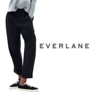 EVERLANE The Put-Together Pleat Pant Black Dress Pants - 4